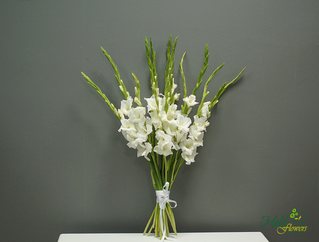 Gladiol alb (la comanda, 10 zile) foto